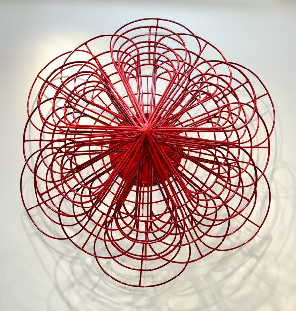 Wallflower by Nancy Ilg