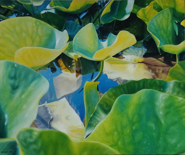 Lily Pads #3 by Richard Michael Delaney