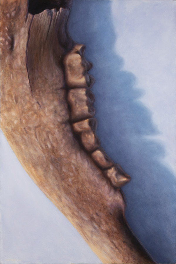 Buffalo Jaw by Richard Michael Delaney