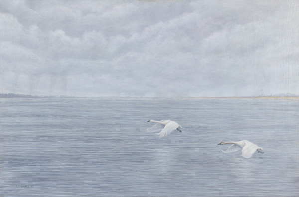 Swans at Long Point by Richard Michael Delaney