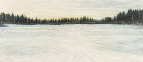 Frozen Pond by Richard Michael Delaney