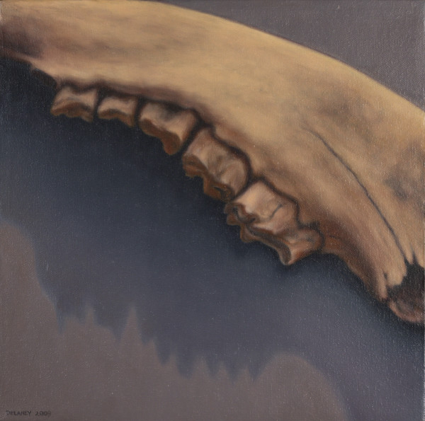 Buffalo Jaw #2 by Richard Michael Delaney