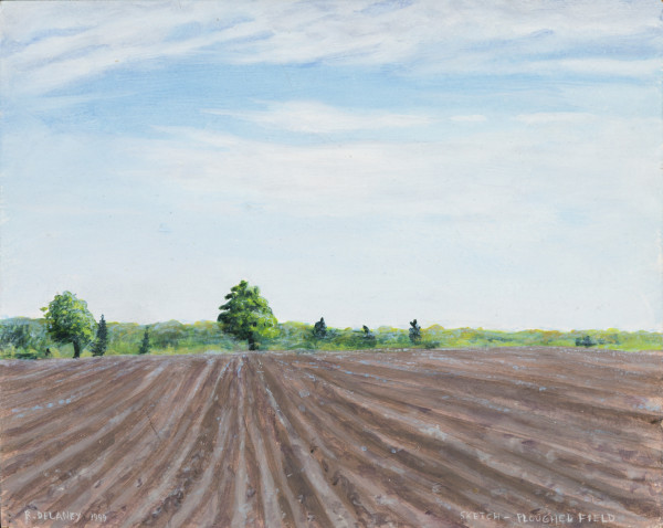 Ploughed Field by Richard Michael Delaney