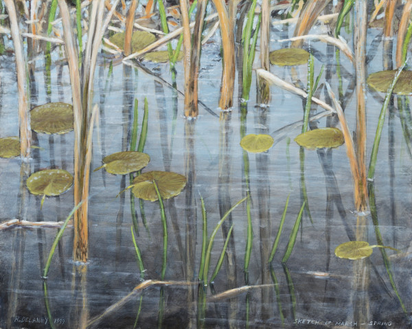 Marsh in Spring by Richard Michael Delaney