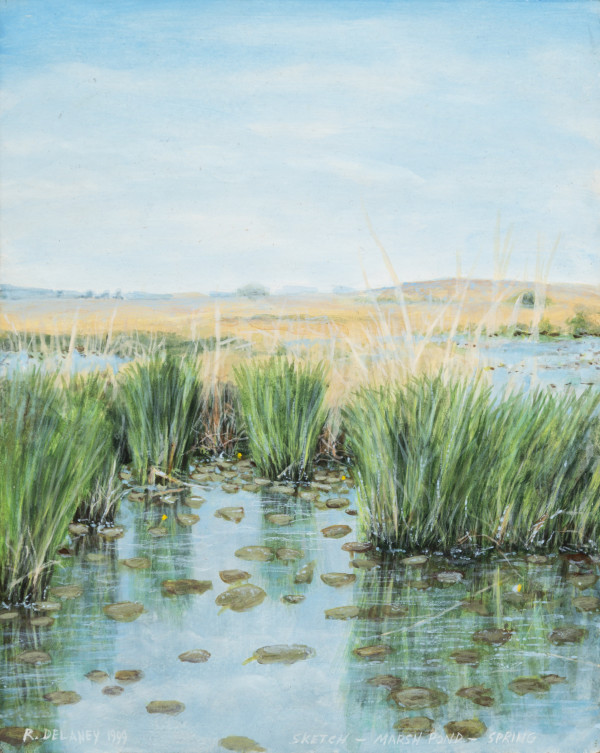 Marsh Pond by Richard Michael Delaney