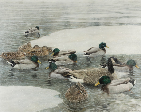 Ducks and Goose in Winter by Richard Michael Delaney