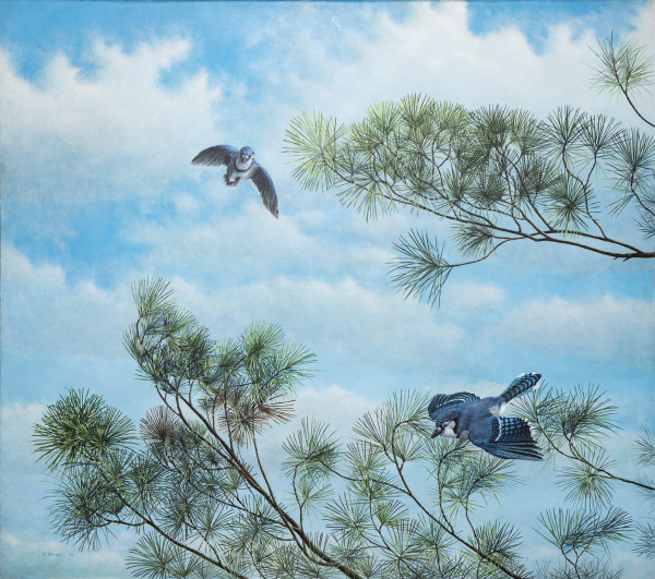 Blue Jays by Richard Michael Delaney