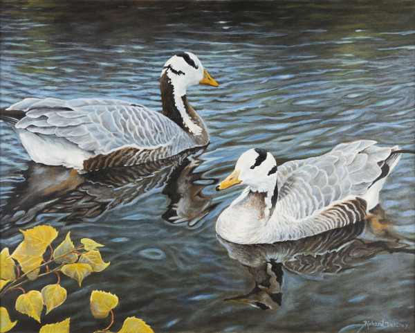 Bar-Headed Geese by Richard Michael Delaney