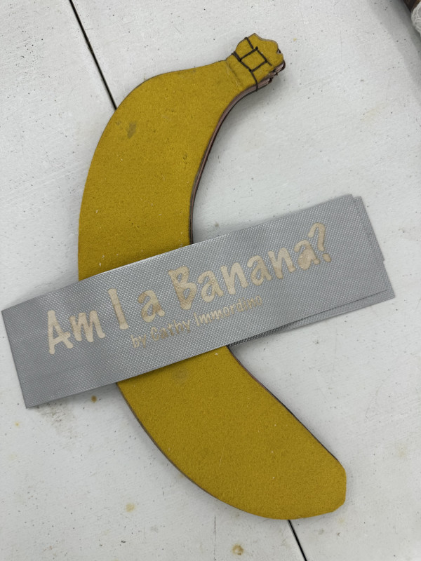 Am I A Banana? by Cathy Immordino
