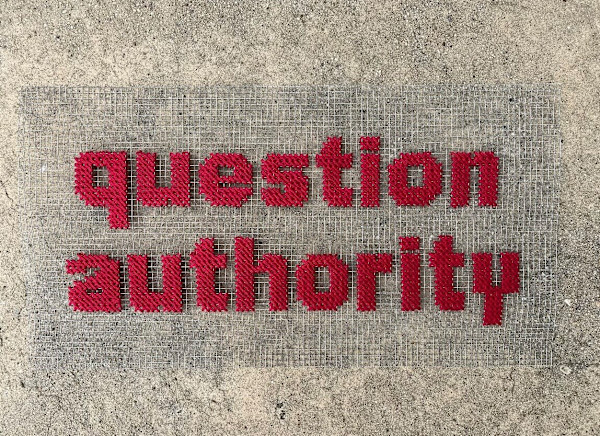 Question Authority by Robin McCarthy