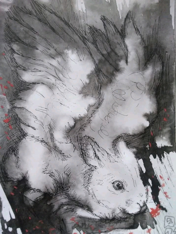 Rabbit by Nasta Martyn