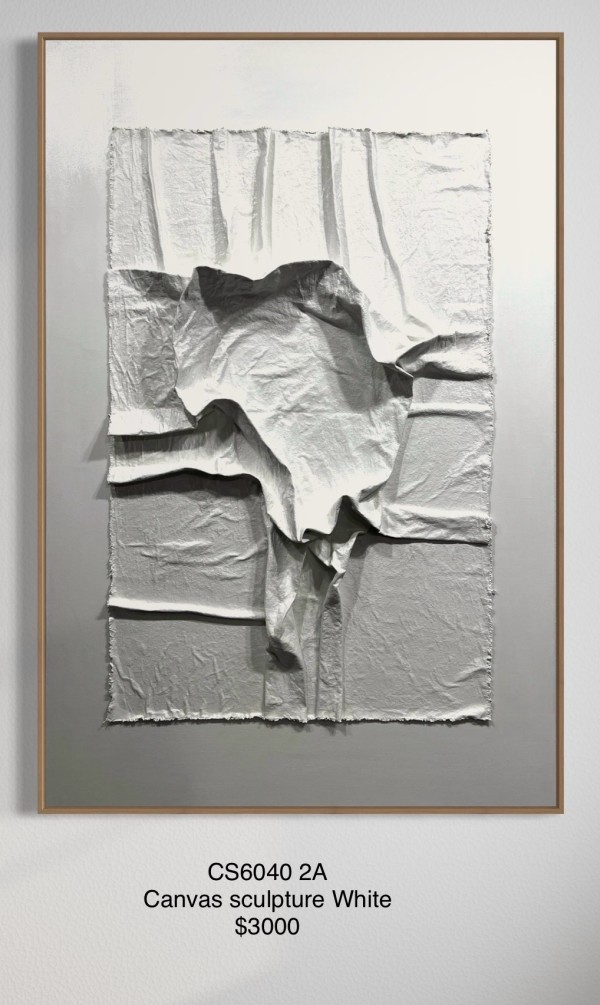 CS6040 2A Canvas Sculpture White by Michael Denny Art
