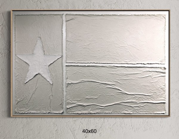 Flags TX F4060 A by Michael Denny Art