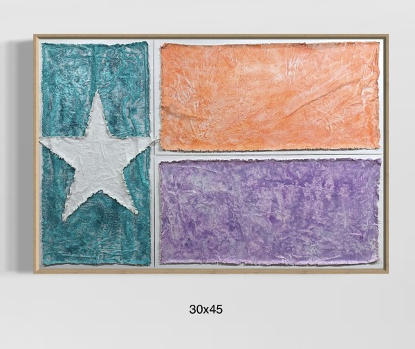 Flags TX F3045 A by Michael Denny Art