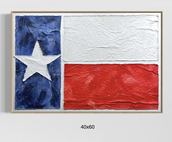 Flags TX F4060 D by Michael Denny Art