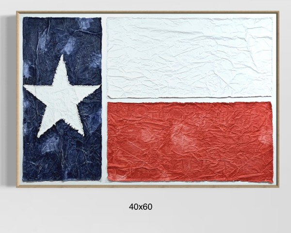 Flags TX F4060 C by Michael Denny Art