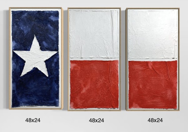Flags TX Triptych F4872 B by Michael Denny Art