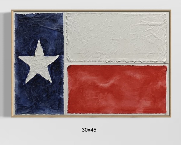 Flags TX F3045 B by Michael Denny Art