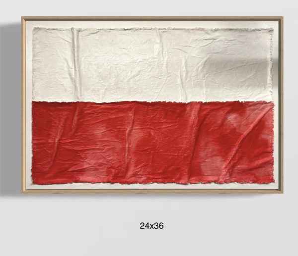 Flags F2436 A by Michael Denny Art