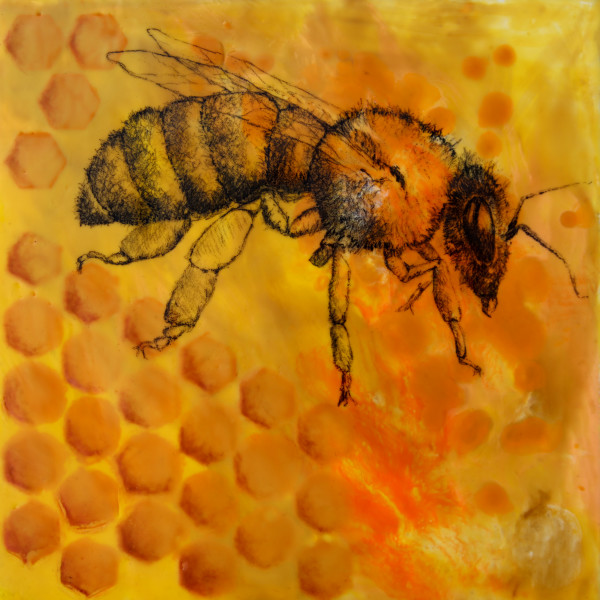 Bees 3 by Carrie Baxter
