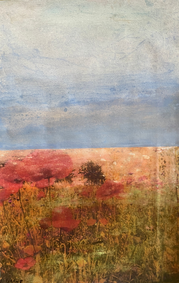 204 by Lise Karin Jensen