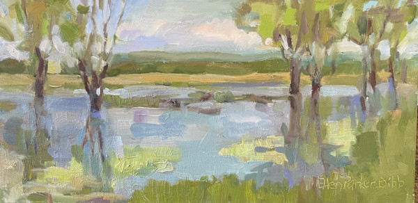 Shelby Wetlands by Ellen Parker Bibb
