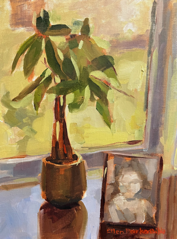 Embracing Light by Ellen Bibb
