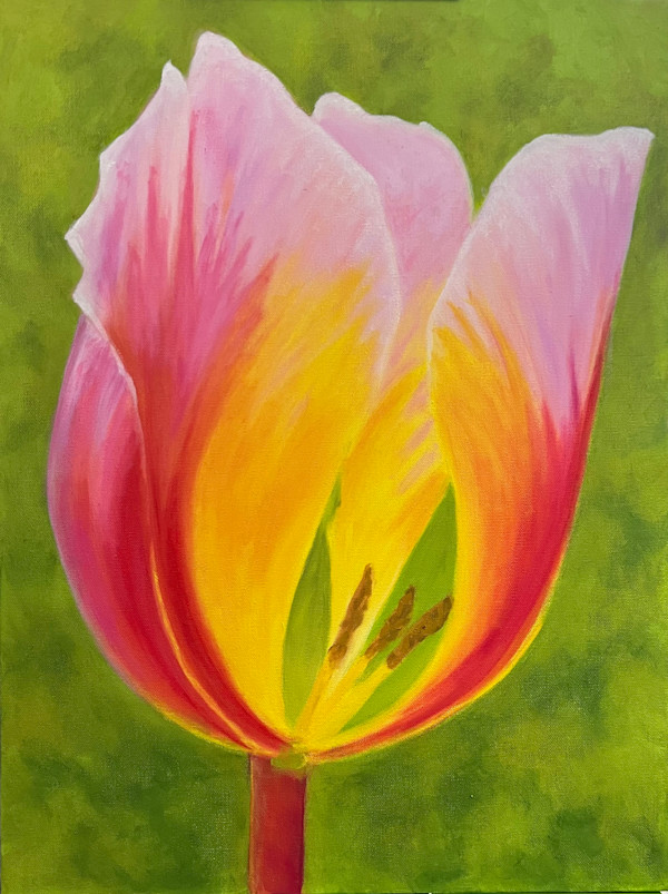 Tulip by Ann Nystrom Cottone