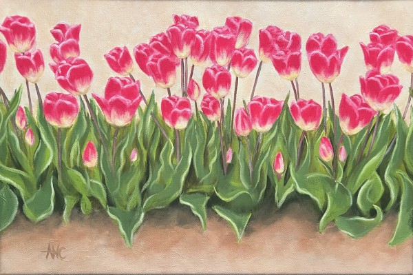 Dancing Tulips by Ann Nystrom Cottone