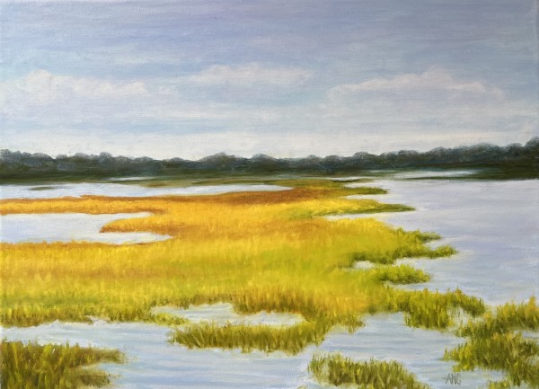 Coastal Salt Marsh by Ann Nystrom Cottone