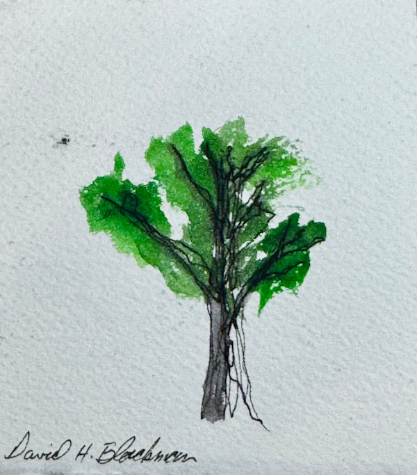 The Echo of Leaves in Watercolor by David  H. L. Blackman, Ph. D., Image 1.