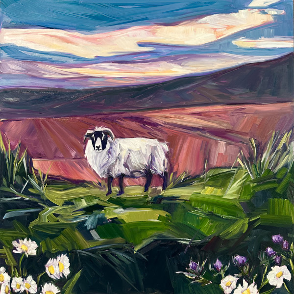 Donegal Sheep by Andrea Nova