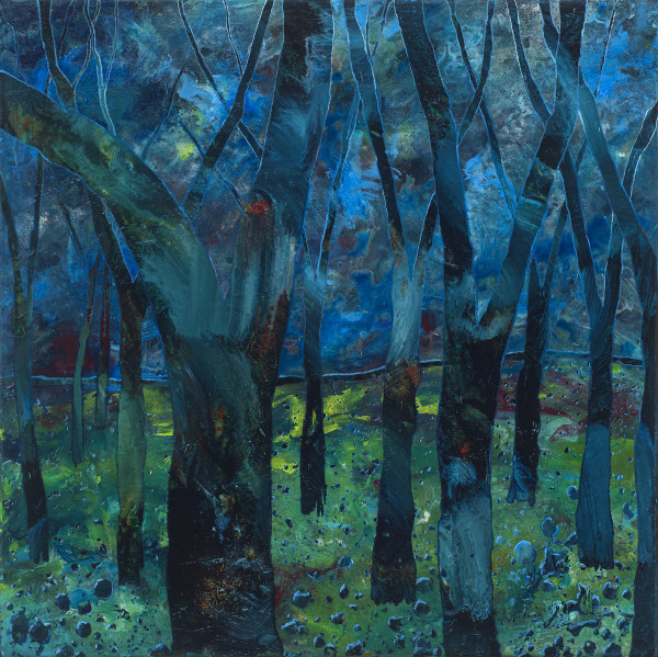 Forest Dream by Kristy Sullivan