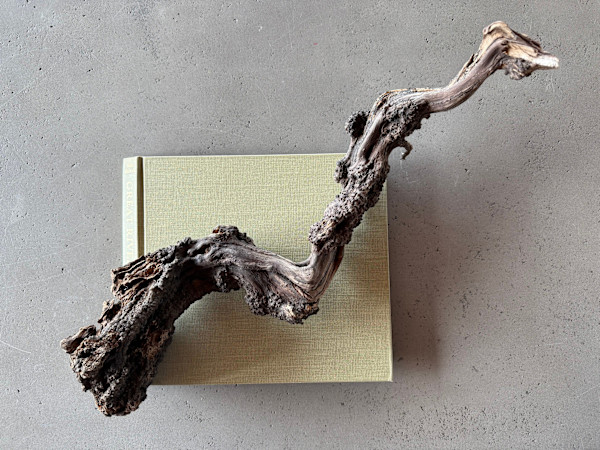 Great Rivers, Nature Studies 1.09 by Kristy Collette, Image 1.