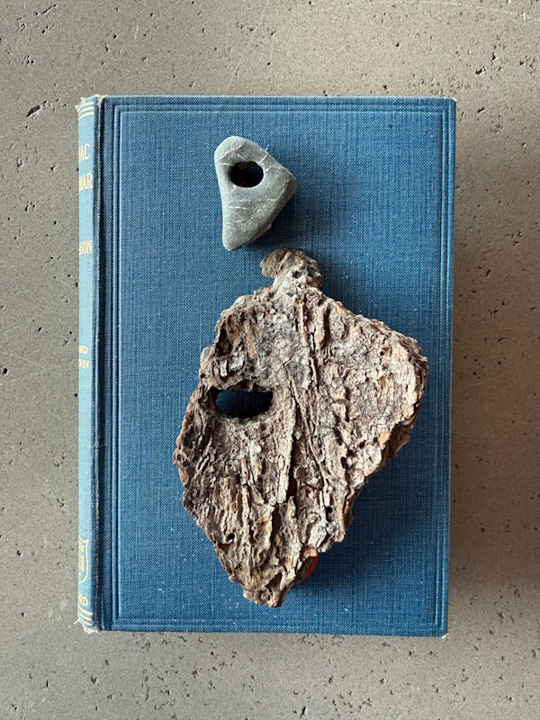 Syriac Grammar, Nature Studies 1.05 by Kristy Collette, Image 1.