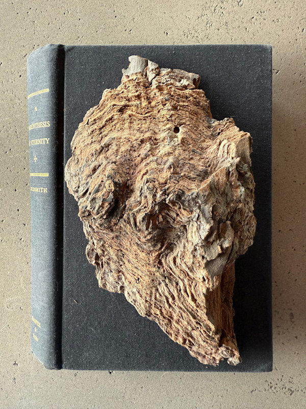 A Parenthesis In Eternity, Nature Studies 1.07 by Kristy Collette, Image 1.