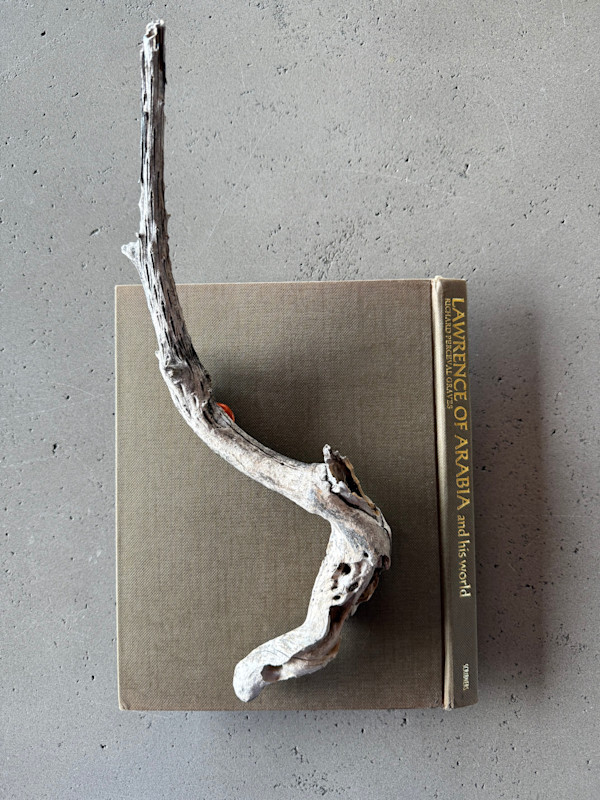 Lawrence of Arabia, Nature Studies 1.06 by Kristy Collette, Image 1.