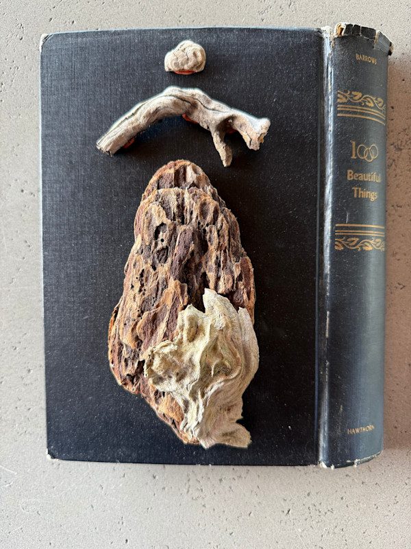 1000 Beautiful Things, Nature Studies 1.02 by Kristy Collette, Image 1.