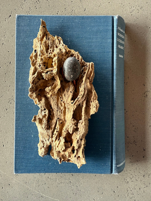 Modern Literary, Nature Studies 1.17 by Kristy Collette, Image 1.