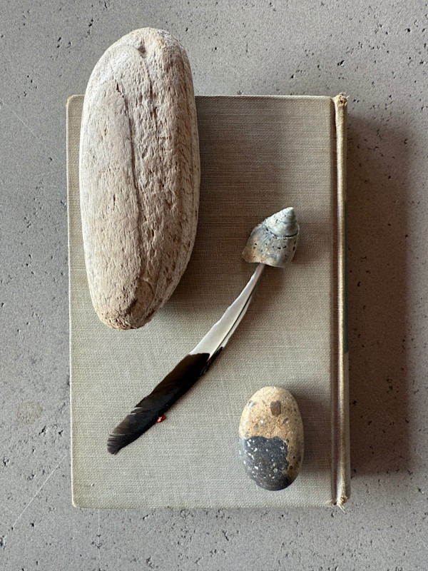 Man’s Fate, Nature Studies 1.19 by Kristy Collette, Image 1.