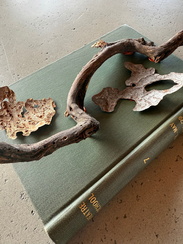 Theatre & School, Nature Studies 1.10 by Kristy Collette, Image 1.