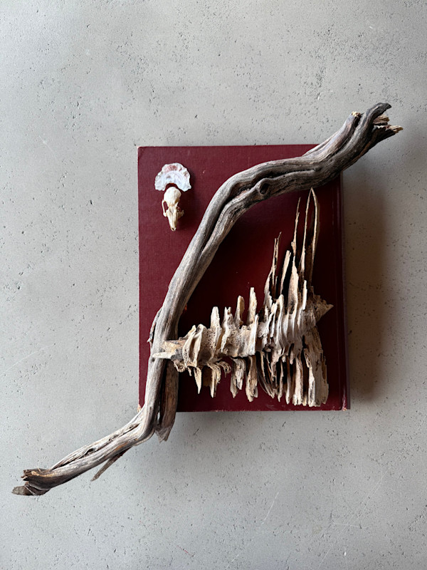 The Torch Is Passed…, Nature Studies 1.04 by Kristy Collette, Image 1.
