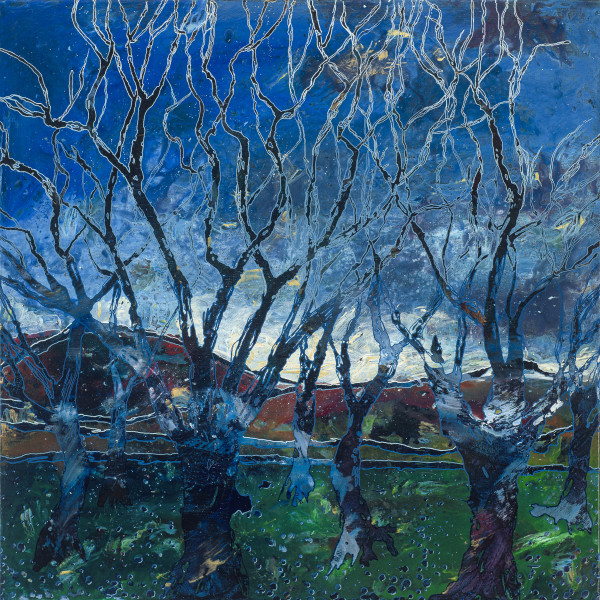 Trees in Winter by Kristy Sullivan