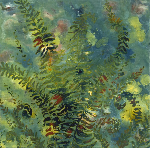 Fern by Kristy Collette