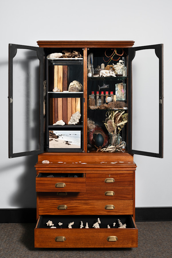 Joondakammer: A Cabinet of Curiosity for Joondalup by Perdita Phillips
