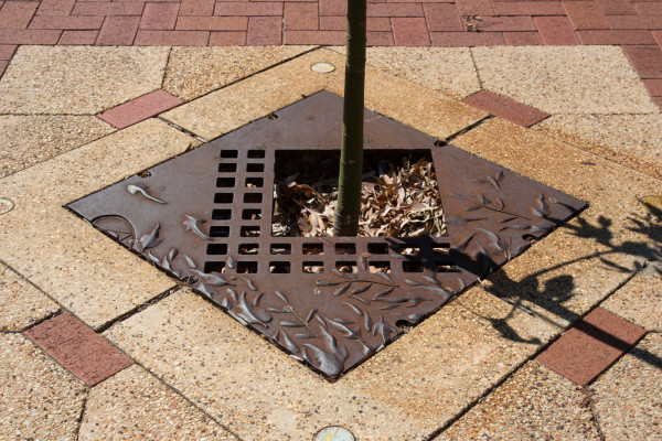 Tree Grates by Peter Dailey