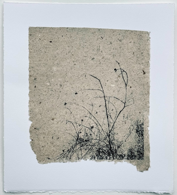 Fleeting 1 by Maryellen Quarles