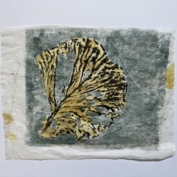 Fleeting 7 by ME Quarles