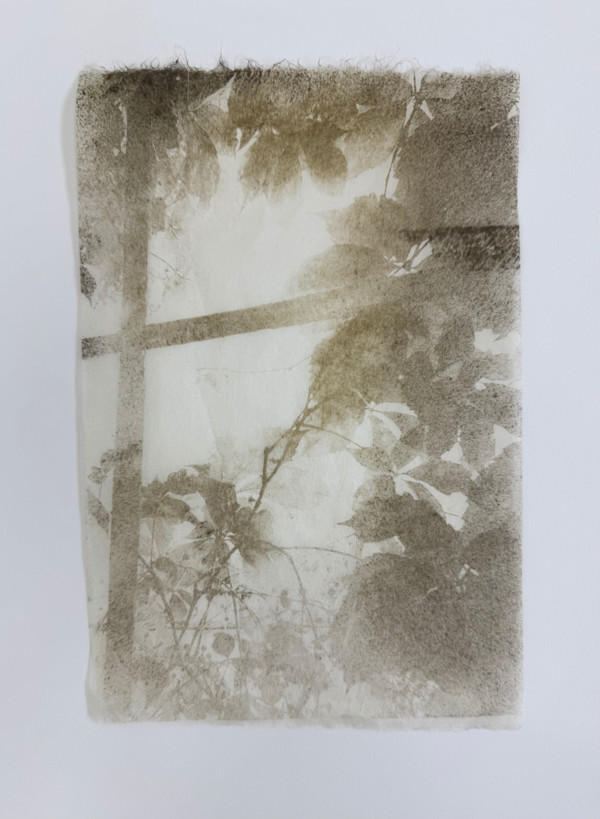 the gloaming by ME Quarles