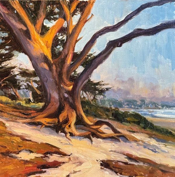 Wind Swept Carmel Beach by keith wicks